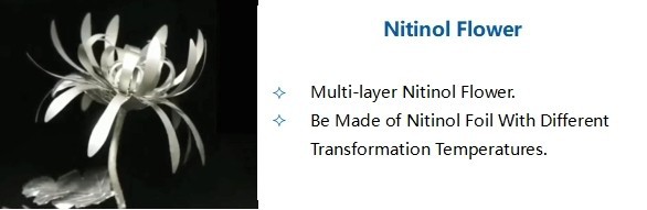 nitinol flower